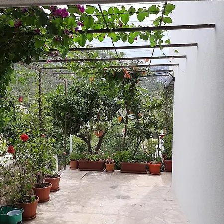 Lejlighed 11545b Trpanj