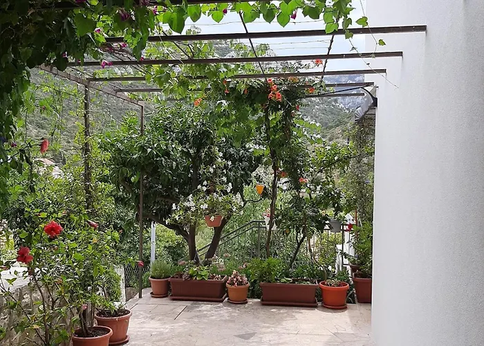 Apartman 11545b Trpanj